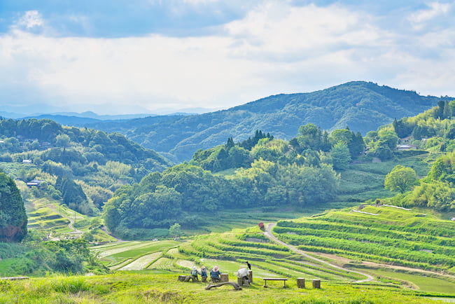 岡山県久米郡の棚田