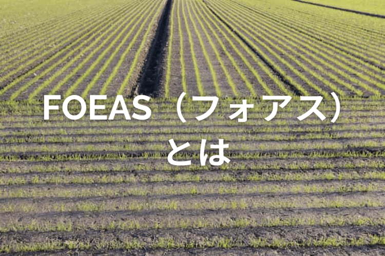 FOEAS(フォアス)を活用したスマート水管理!導入メリットと注意点