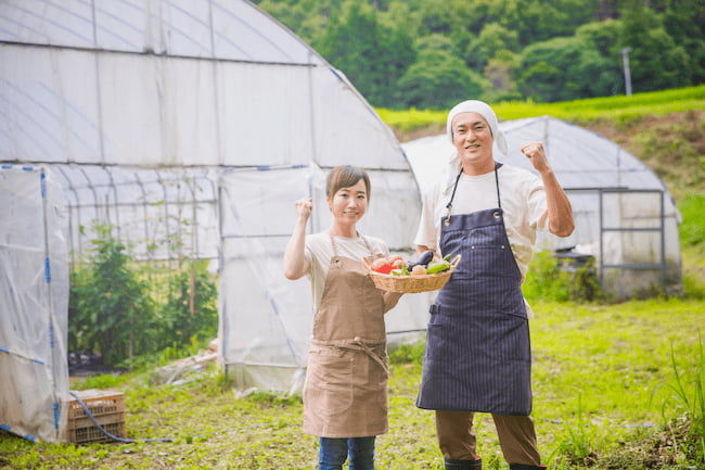 農業に挑戦する若者