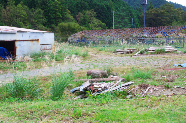遊休農地とは? 耕作放棄地との違いや現状、活用事例を一挙解説! | 遊休農地とは? 意味や耕作放棄地・荒廃農地との違い