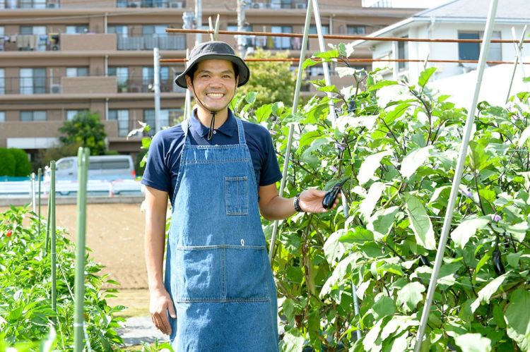 都市近郊農業経営｜30本品目以上の多品種少量生産を継続するコツとは？