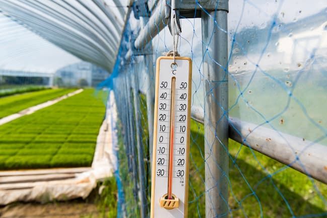 農業用ハウスの利点は温度や湿度など作物に適した温環境を調整できる点