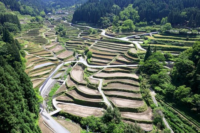 棚田 ドローン撮影