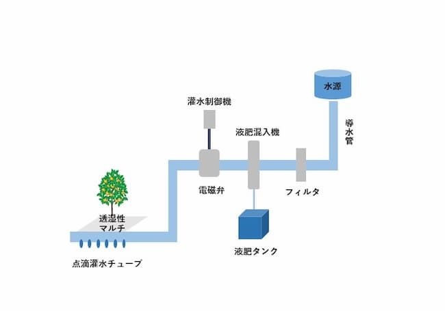 マルドリ 図