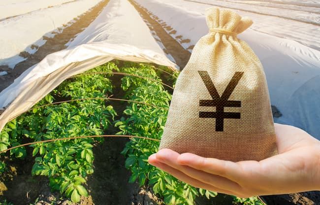 農業 資金