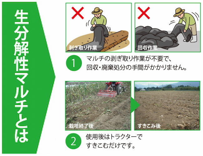 生分解性マルチは剥ぎ取り・廃棄の手間がかからない