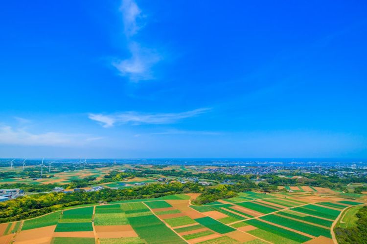 農地トラブルを回避!農地を円滑に貸し借りする方法とは?