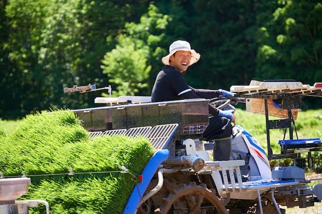 ハットタイプの帽子で田植え機を運転する男性