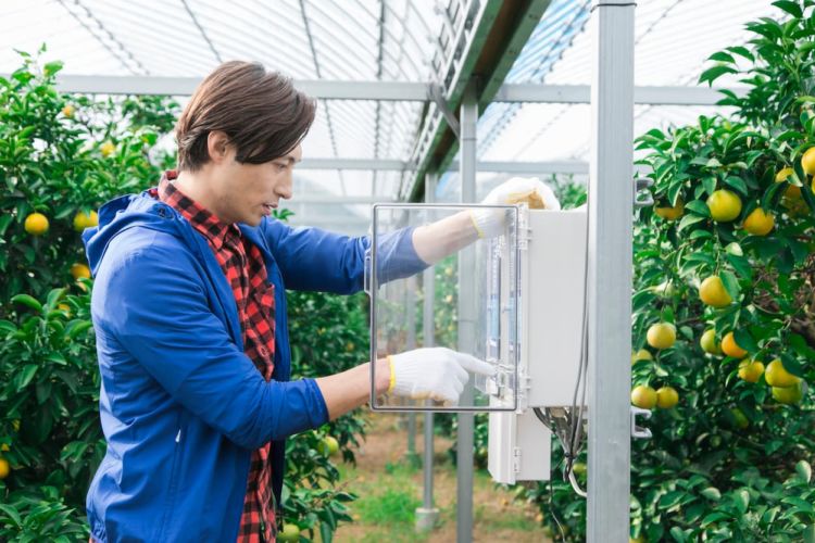 ビニールハウスの温度管理で作物の収量アップをめざそう