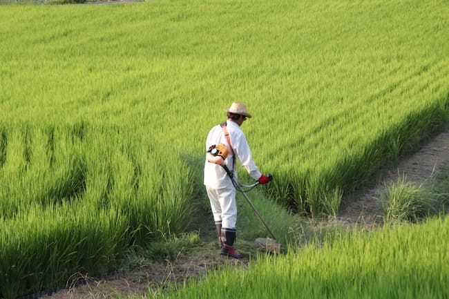 「田んぼの年間作業」を効率化して低コスト・省力化を実現
