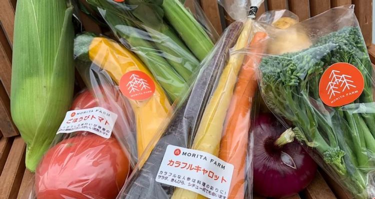 クックパッドマートで販路拡大！農家直送の事例と活用法を紹介