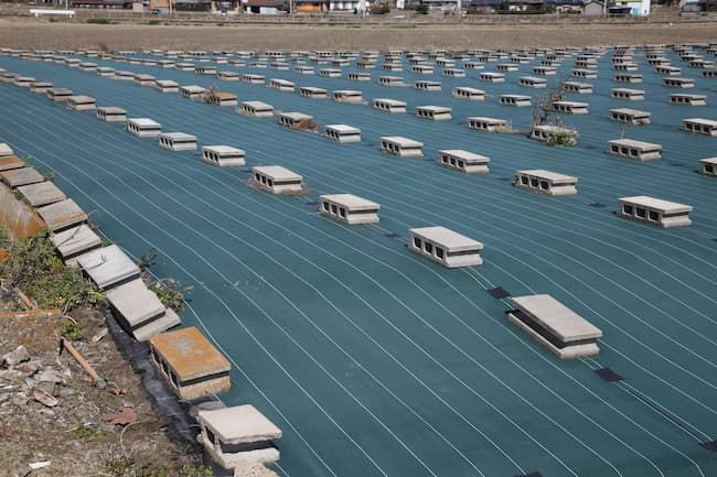 除草シートを施した休耕地