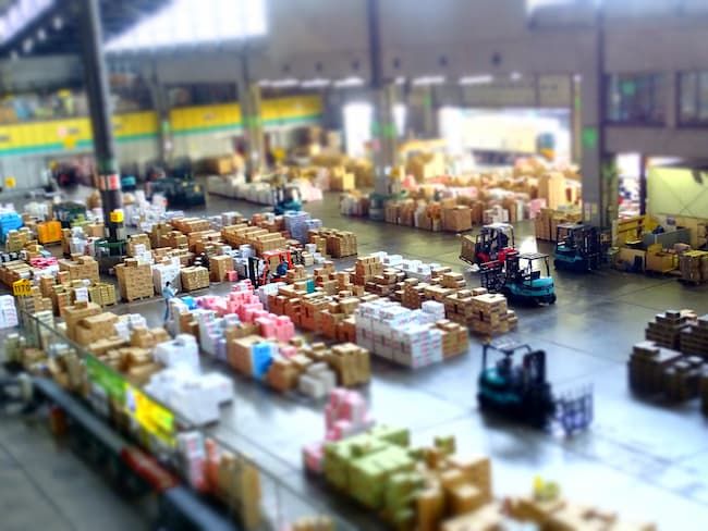 いろいろな作物が集まる大田市場