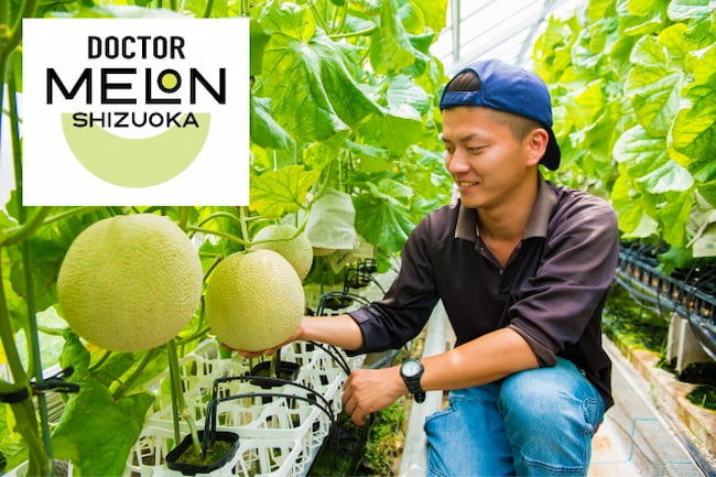 株式会社Happy Qualityの「DOCTOR MELON」