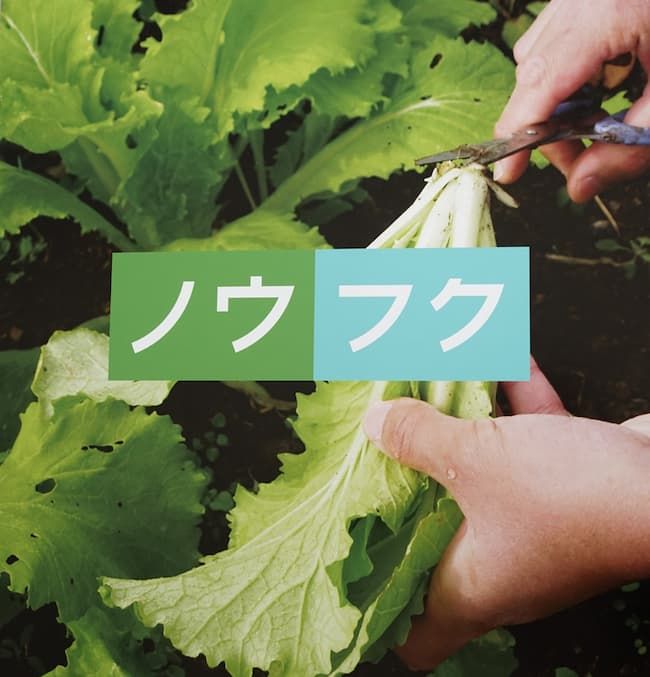 農林水産省・厚生労働省が2019年に主催した「農福連携推進フォーラム」のポスター