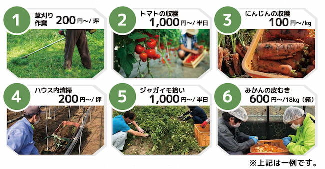 「かいけつ！オアシス」のサービス一例