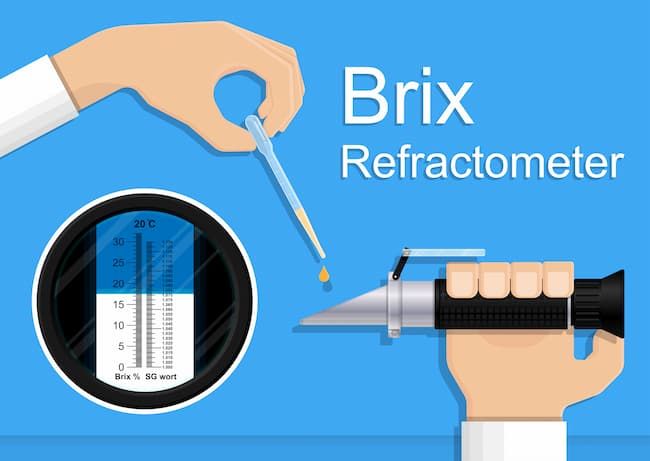 Brix値の計測