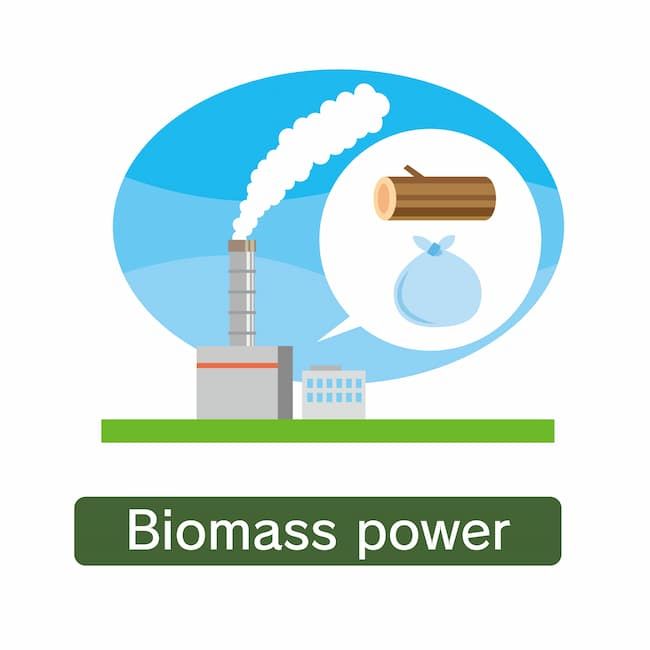 廃棄物や生物資源を燃やしてエネルギー化するバイオマス発電
