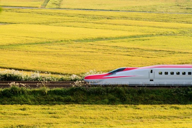 秋田県のブランド米「ゆめおばこ」とは？ 収量性、耐病性など栽培特性とブランド化戦略を解説 