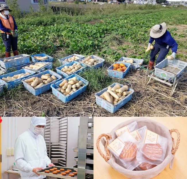 パーソルグループの特例子会社のパーソルサンクス株式会社では、地域の農家が販売・出荷できなかった作物を集め、製菓工房で加工・販売する農福連携事業を実施