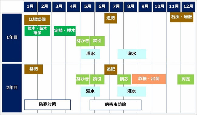 いちじくの栽培暦