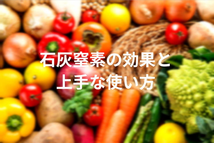石灰窒素は土壌消毒にも|農薬効果・肥料効果と上手な使い方