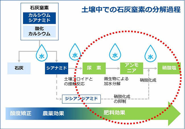 石灰窒素は土壌消毒にも｜農薬効果・肥料効果と上手な使い方