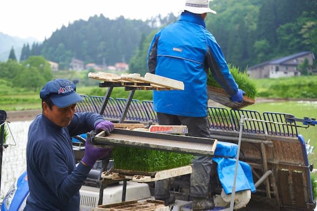 大型田植機の共同利用