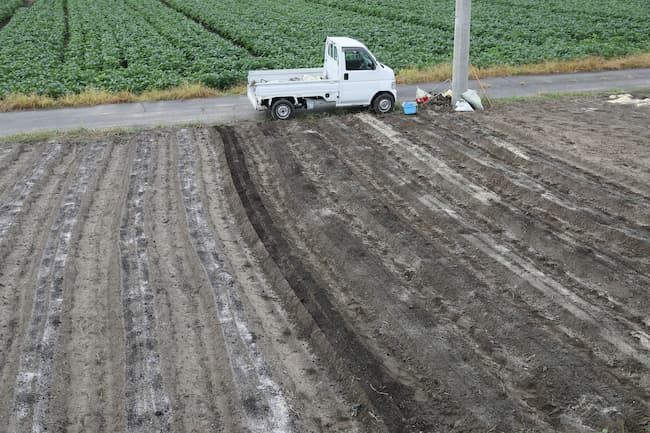 ほうれん草 作期をずらした露地栽培での施肥
