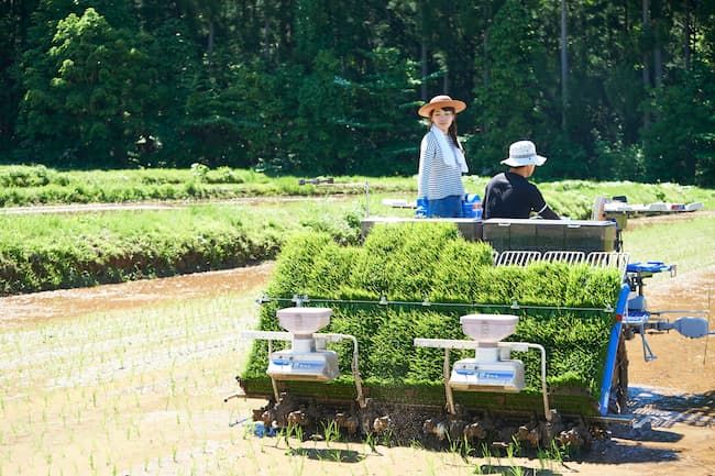 田植え機を運転する若年の新規就農者