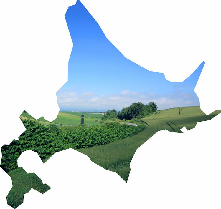 北海道の農業が抱える課題とは? 地域の特徴と、問題解決へ向けた取り組み例