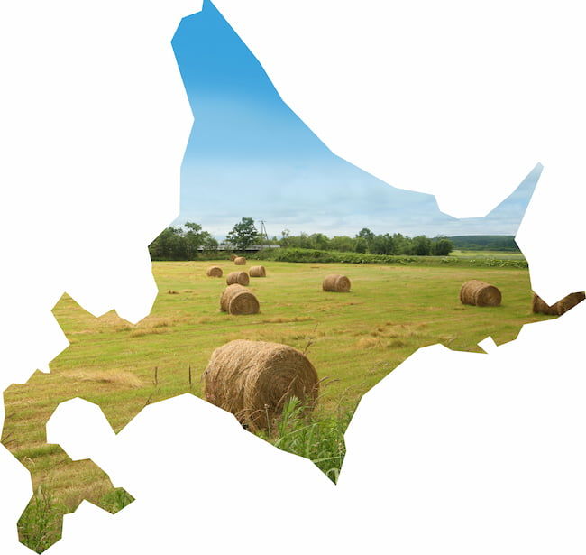 北海道地図 小麦ほ場