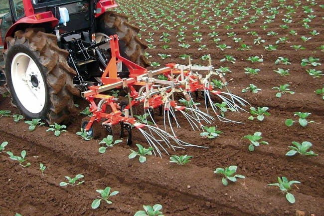 除草装置を装着した乗用管理機