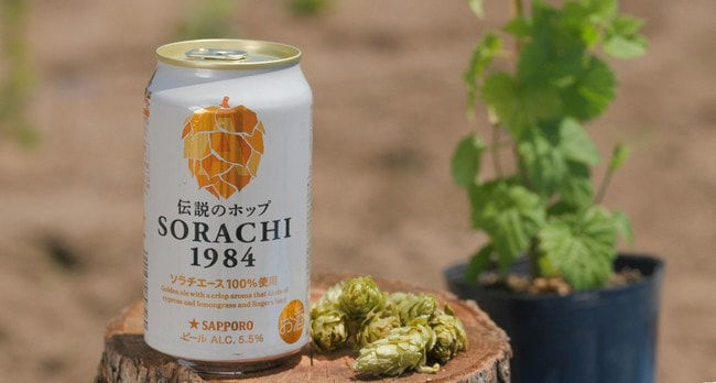「サッポロ SORACHI1984」
