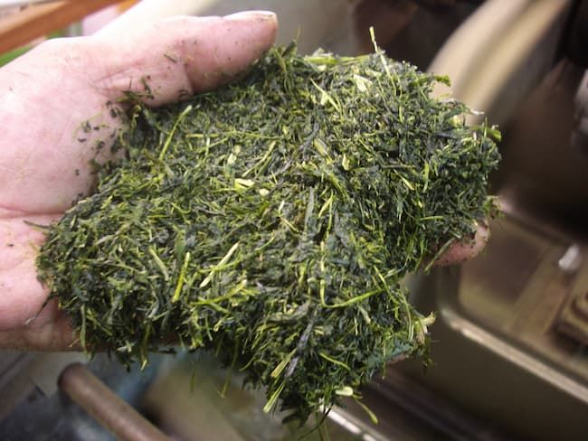 荒茶