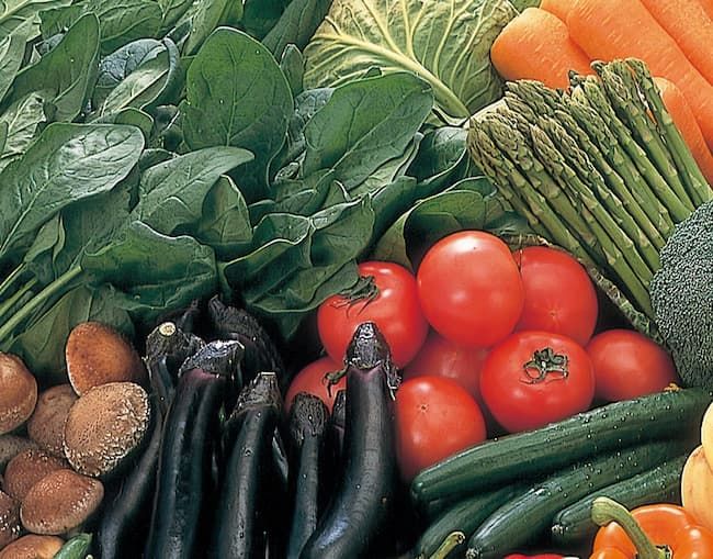 ネコブセンチュウ類は広食性でさまざまな野菜類に寄生する