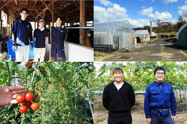 県立農業大学校では何が学べる? 教育内容や就職先について紹介