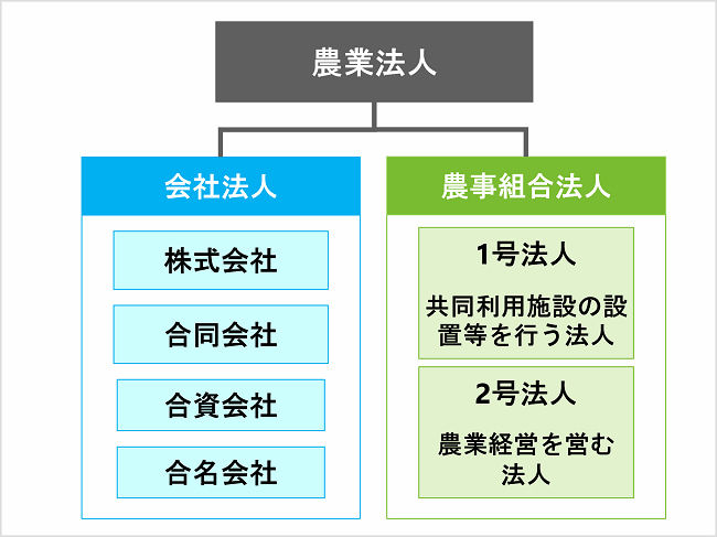 農業法人の種類