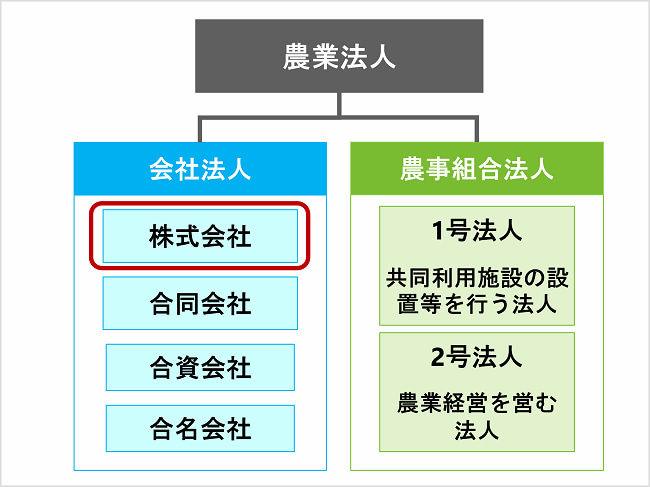 農業法人の法人形態「株式会社」