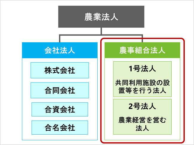 農業法人の法人形態「農事組合法人」
