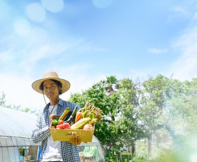 さまざまな作物 男性 ほ場