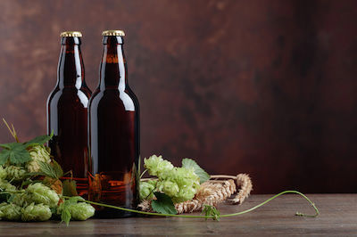ホップ ビール 活性化