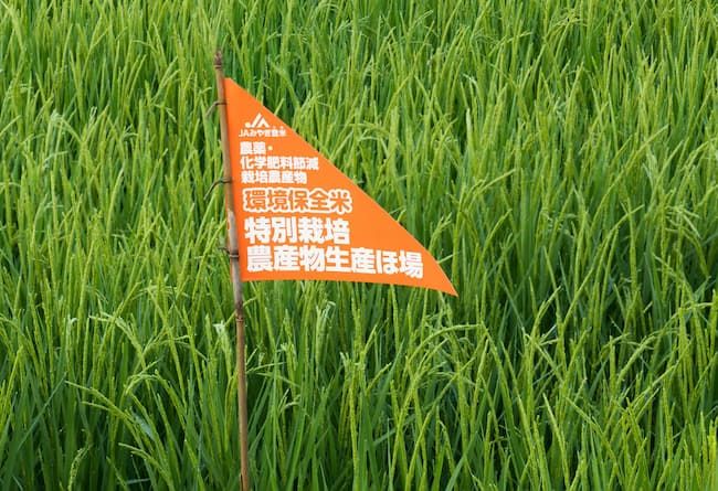 登米市の環境保全米特別栽培農産物生産ほ場