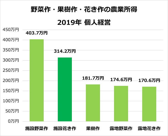 菊栽培農家は儲かるのか? 花き栽培の現状と課題を解説