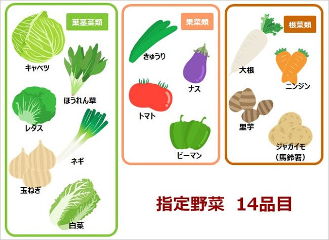 指定野菜とは? 「野菜指定産地制度」の概要と課題を農家目線で解説!