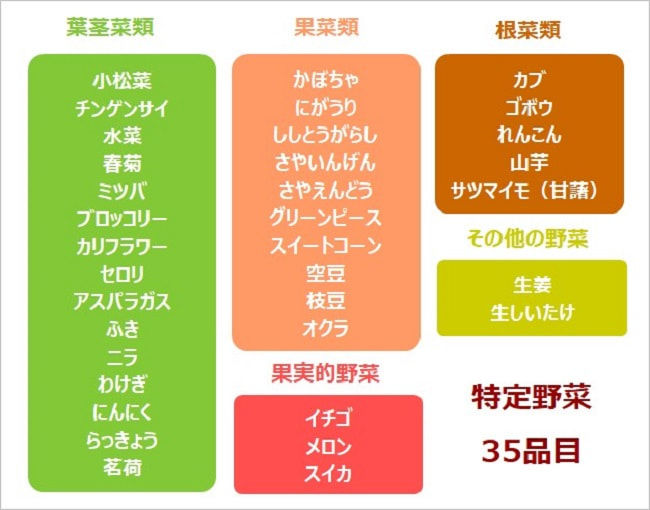 指定野菜とは? 「野菜指定産地制度」の概要と課題を農家目線で解説!
