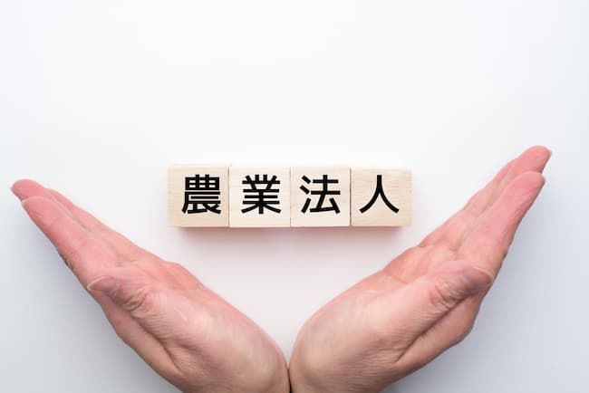 農業 法人化