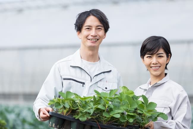 夫婦 二人 農業