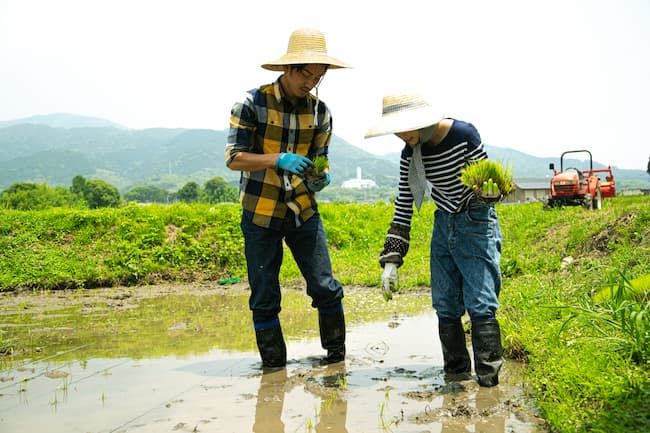 農家 初心者 研修