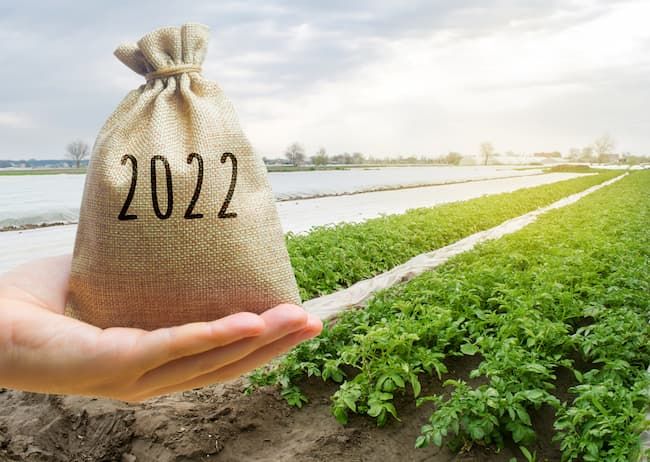 畑 お金 2022年